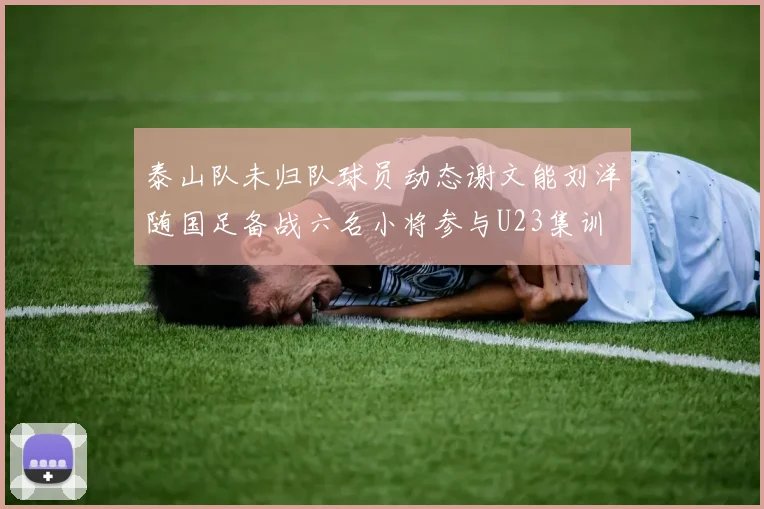 泰山队未归队球员动态谢文能刘洋随国足备战六名小将参与U23集训