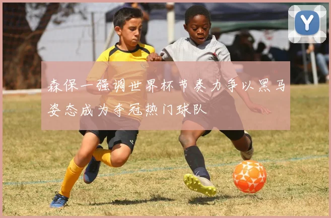 森保一强调世界杯节奏力争以黑马姿态成为夺冠热门球队